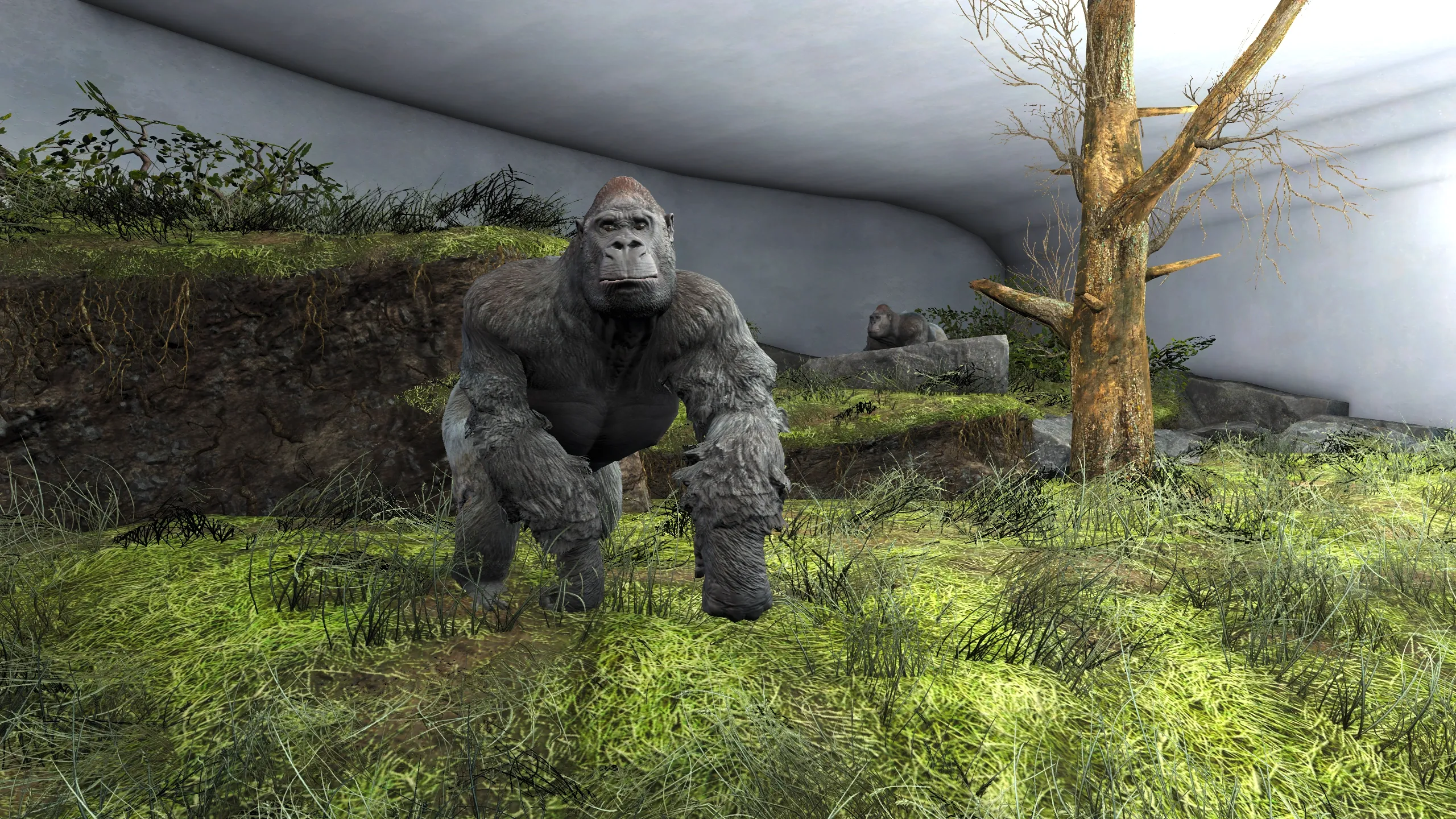 Fallout 4 Vault Background